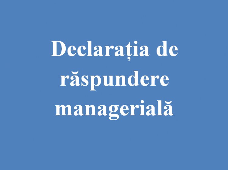 Declarația de răspundere managerială (2020)