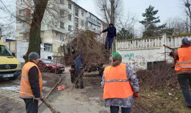 Lucrări din domeniul locativ - comunal din sectorul Botanica (22.03 - 26.03.2021 )