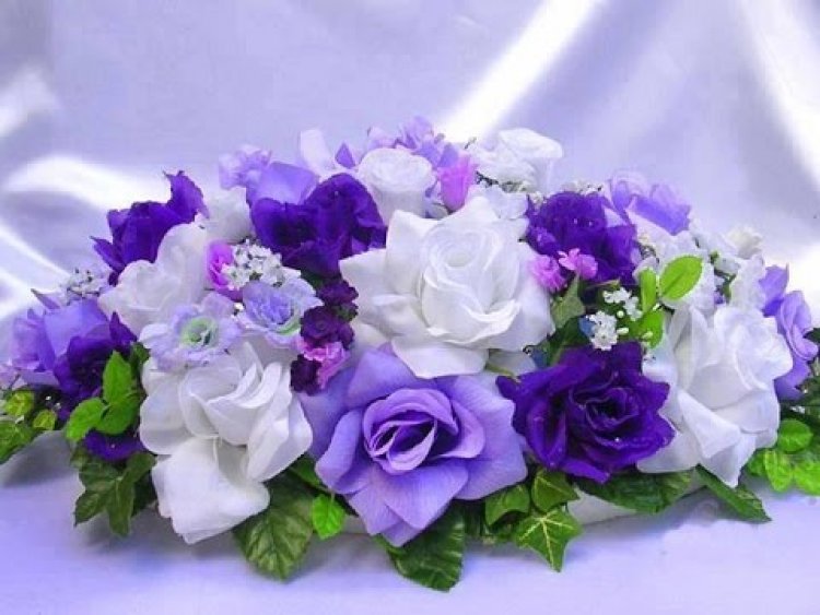 Mesajul Pretorului sectorului Botanica dna Diana GUBA cu prilejul Zilei Internaționale a Femeii.