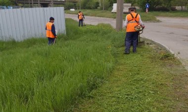 Lucrări de cosire a ierbii verzi în sectorul Botanica