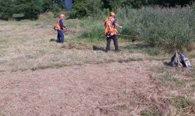 Salubrizarea stadionului Liceului Teoretic „Mircea cel Bătrân”