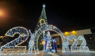 Feerie în sectorul Botanica – Brazii de Crăciun au fost inaugurați!