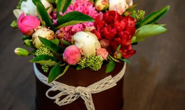 Mesajul de felicitare al Pretorului sectorului Botanica, Dnei Diana GUBA cu prilejul Sărbătorii „Ziua autonomiei locale și a lucrătorului din administrația publică locală”