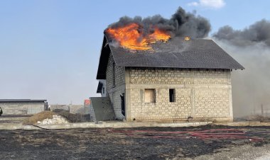 ÎN ATENȚIA LOCUITORILOR ȘI OASPEȚILOR SECTORULUI BOTANICA