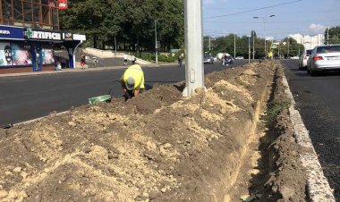 În sectorul Botanica au demarat lucrările de instalare a sistemului de irigare a bd. Dacia