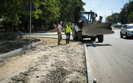 Proiectul de reabilitare a bulevardului Traian.