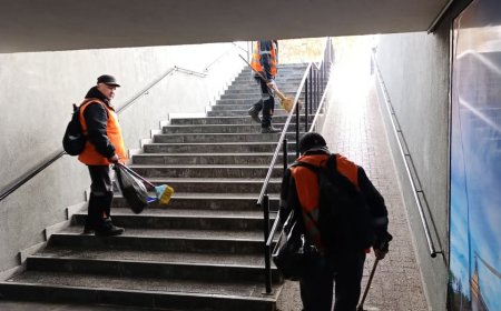 Salubrizarea săptămânală (11 noiembrie – 16 noiembrie)