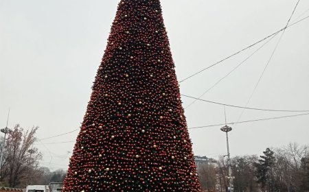 Principalul Pom de Crăciun al țării, este împodobit. Primăria Chișinău invită toată lumea pe 1 decembrie, ora 17:00, î...