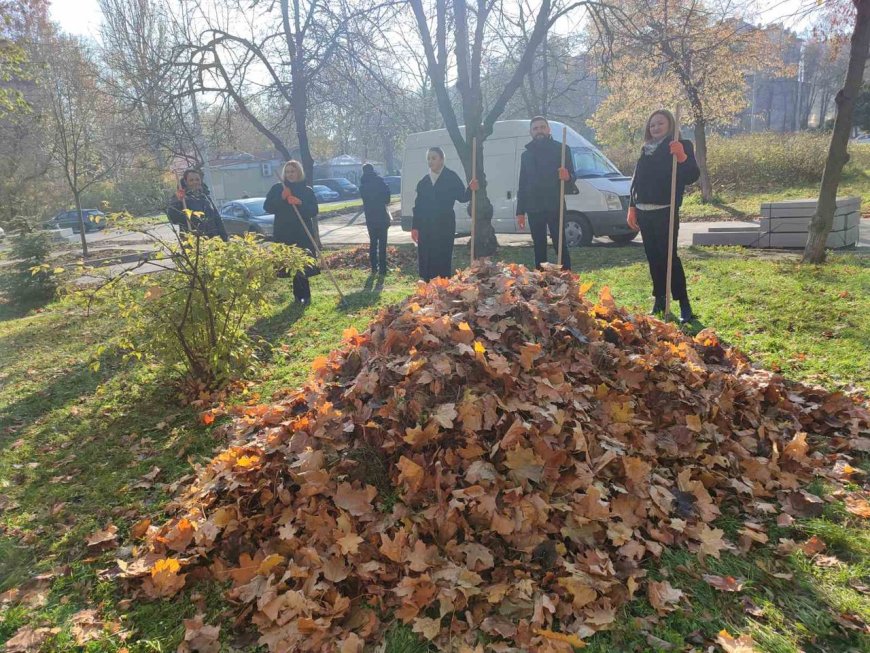 Sezonul toamnei aduce nu doar o paletă spectaculoasă de culori, ci și provocarea de a face față frunzișului căzut....