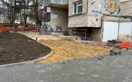 Modernizarea bd. Dacia în sectorul Botanica
