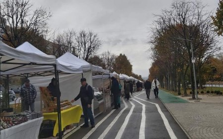 Târguri cu produse autohtone în sectoarele capitalei, în weekendul: 07 - 08 decembrie 2024   Primăria Municipiului Chiși...
