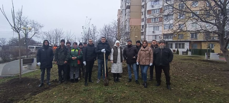 Plantarea unui copac frumos este întotdeauna o idee bună!