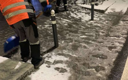 ❄️ Prima ninsoare de Martie! ❄️