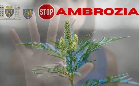 STOP Ambrozia!