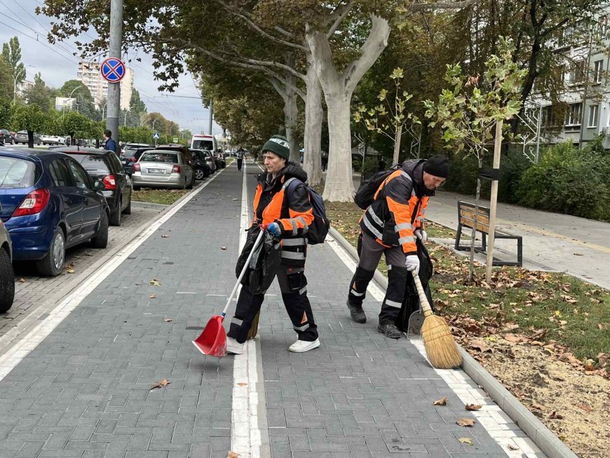 Sectorul Botanica — în plină acțiune pentru un oraș curat și primitor!