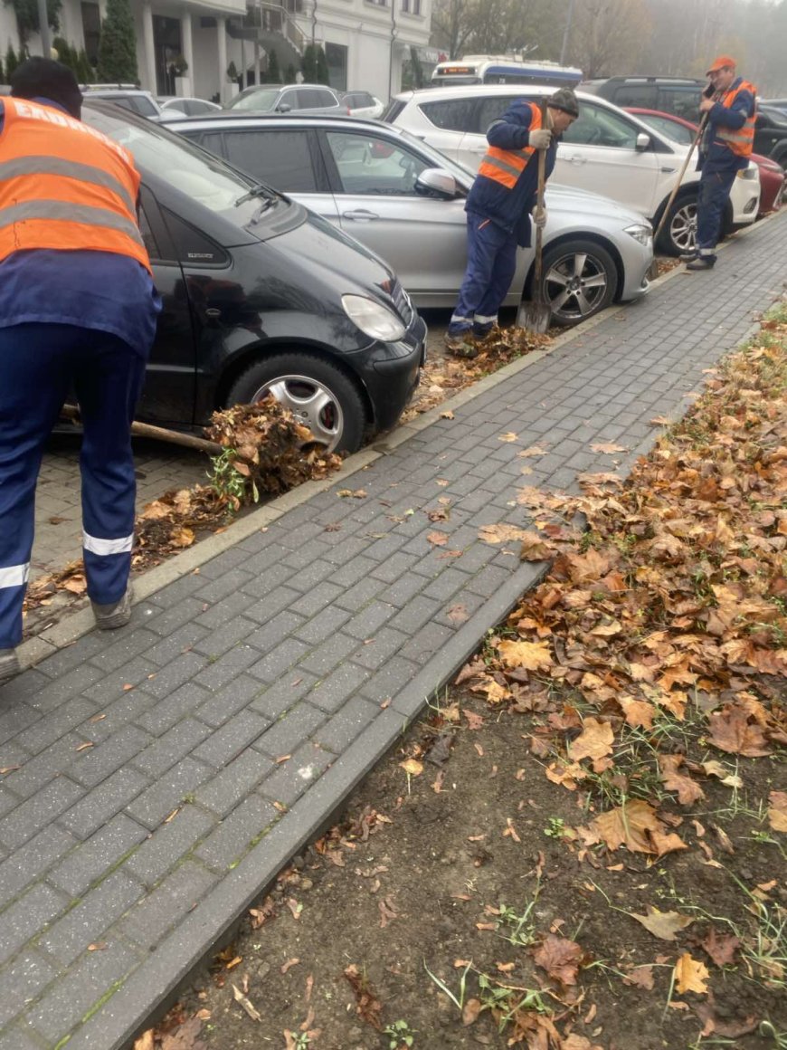 Toamna își urmează cursul, iar noi continuăm să păstrăm sectorul Botanica curat și ordonat!