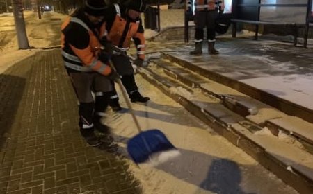 Intervenții pentru deszăpezire în sectorul Botanica