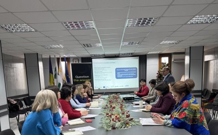 Exercițiu de pilotare în domeniul prevenirii violenței