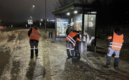 Pretura sectorului Botanica continuă intervențiile pentru combaterea ghețușului