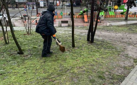 Activitatea serviciilor municipale în sectorul Botanica | 26 – 31 ianuarie 2026