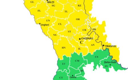 Cod Galben de Polei și ghețuș