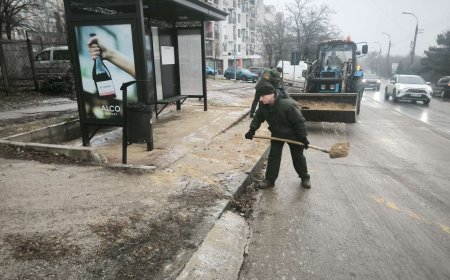 Combaterea poleiului continuă în sectorul Botanica