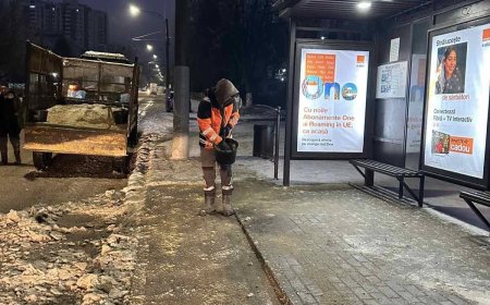 Combaterea poleiului format ca urmare a condițiilor meteorologice nefavorabile