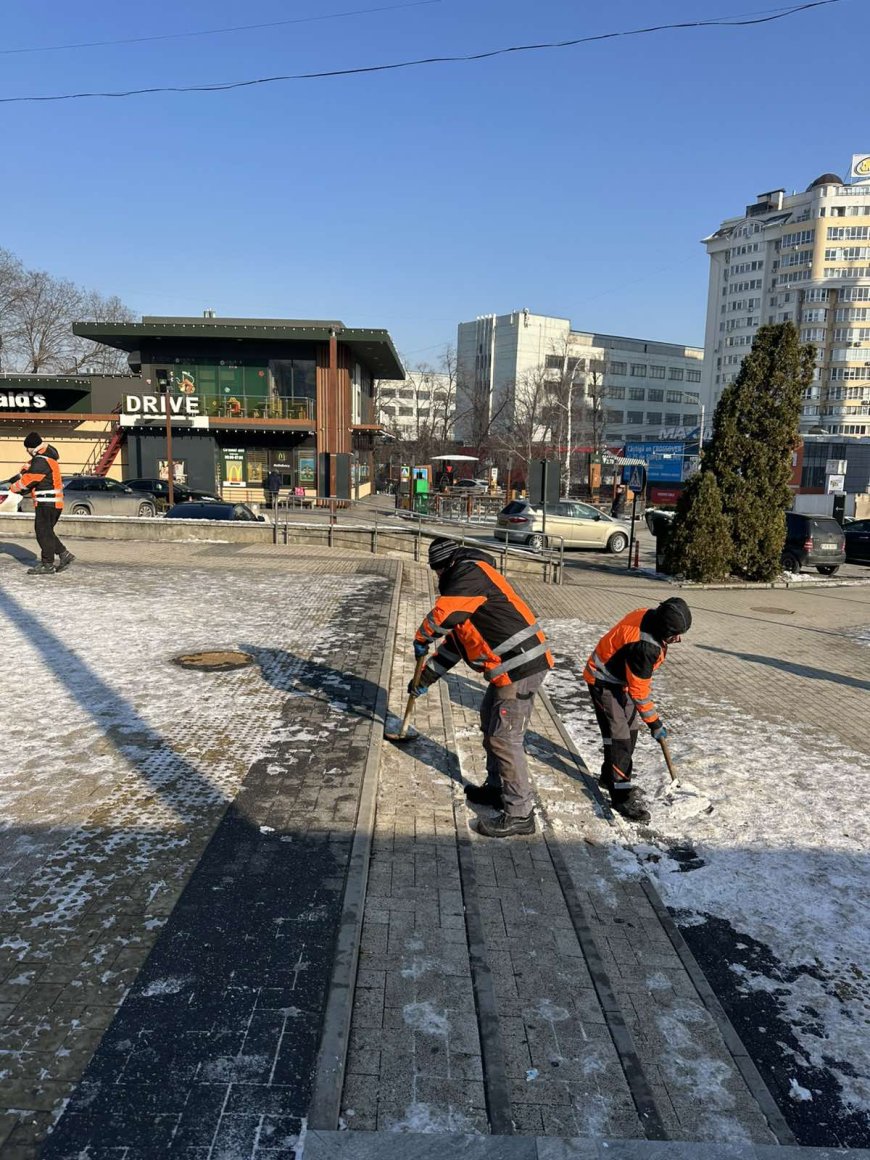 Acțiuni de iarnă în sectorul Botanica