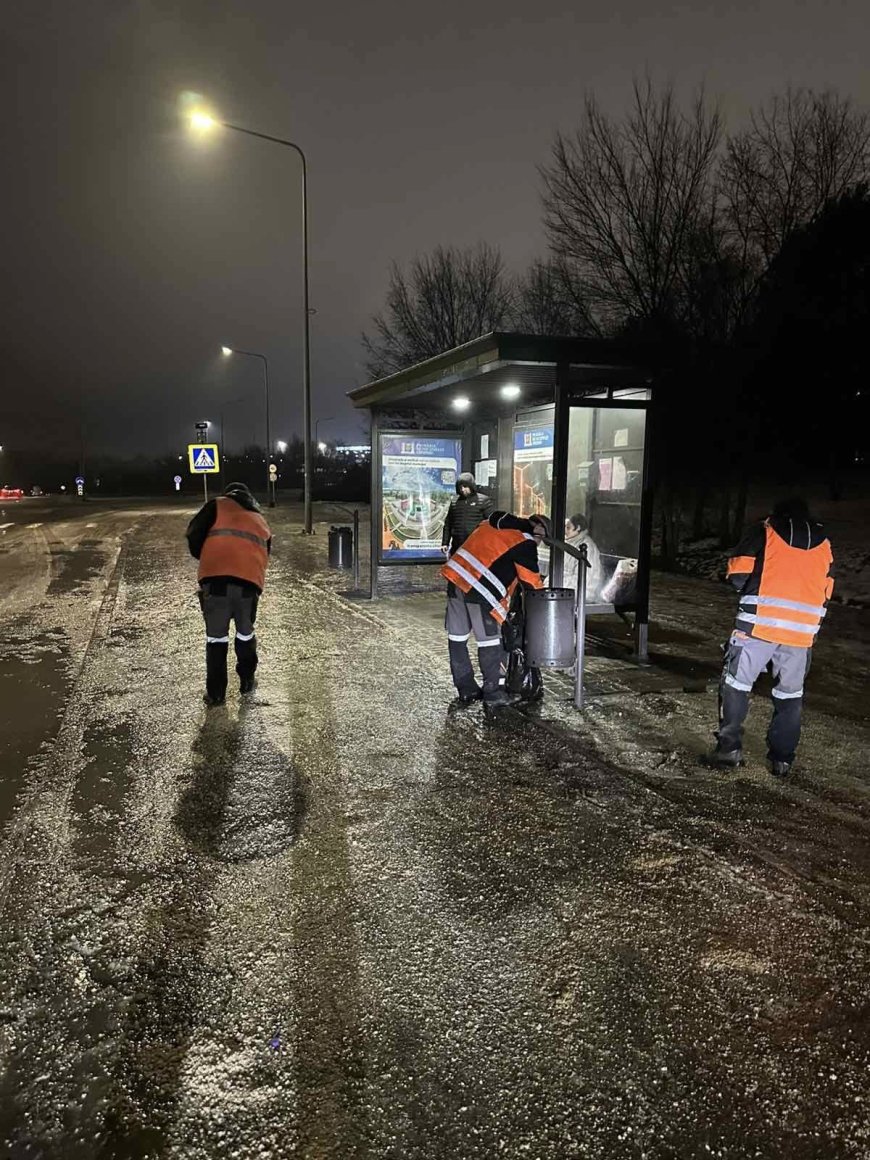 Pretura sectorului Botanica continuă intervențiile pentru combaterea ghețușului